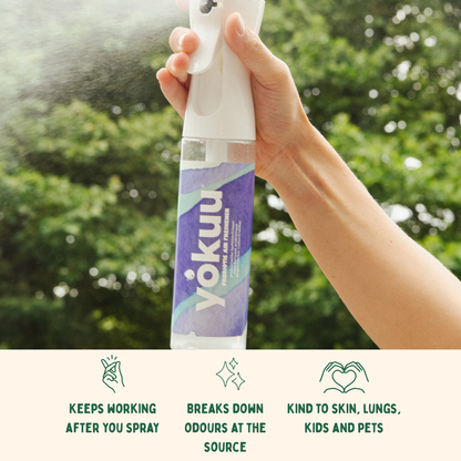 Air Freshener